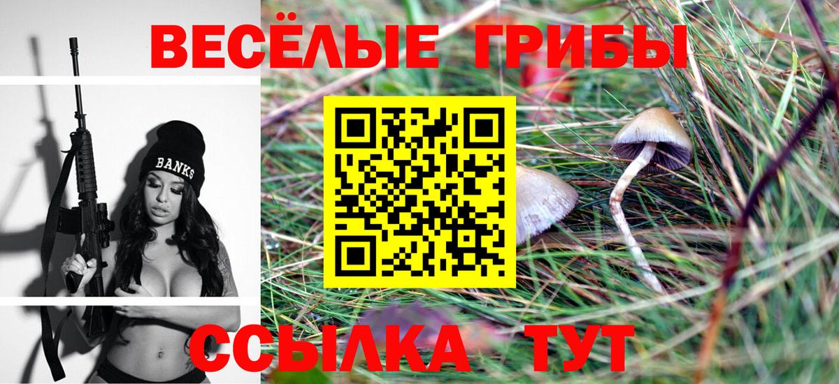 Галлюциногенные грибы MAGIC MUSHROOMS Киров