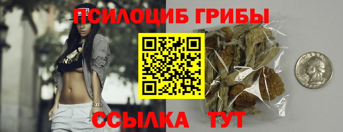 Киров  Галлюциногенные грибы GOLDEN TEACHER  Вход с VPN 